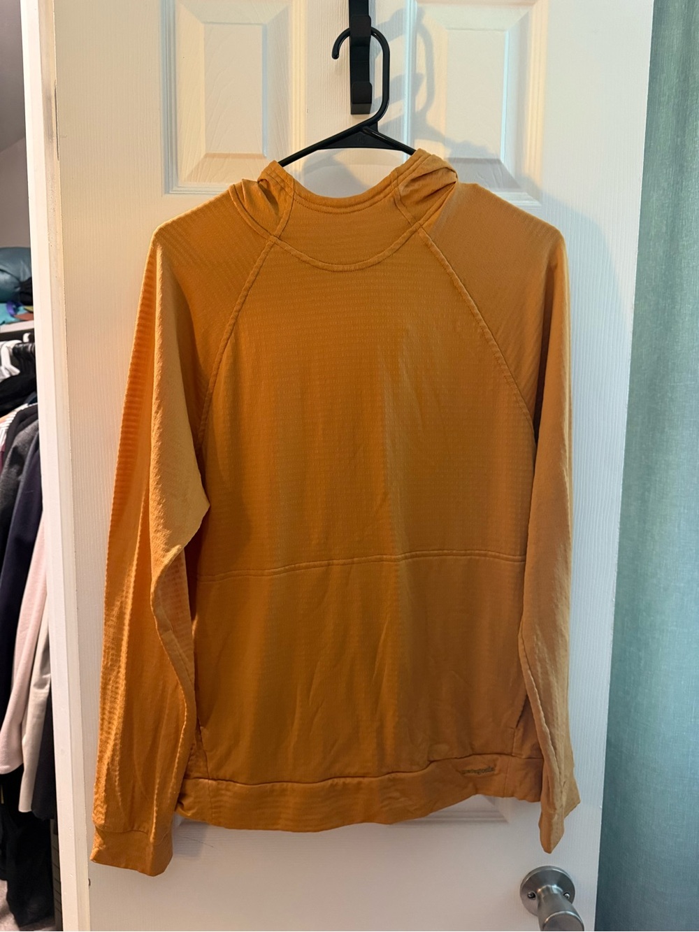 Patagonia Men’s Capilene Thermal Hoody